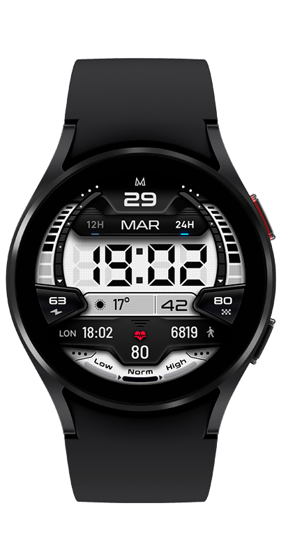 MD244 LCD: Digital watch face